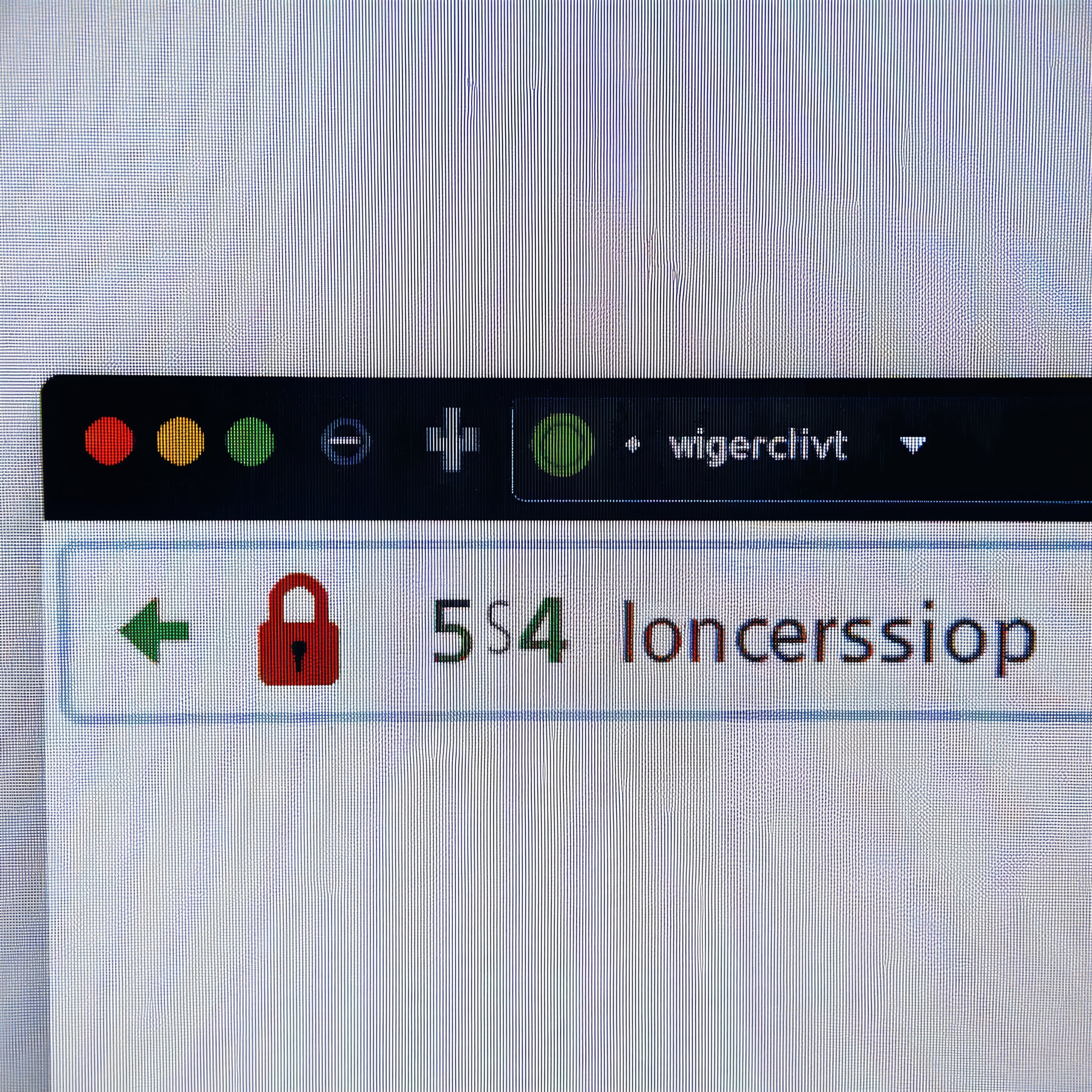 Website SSL security lock representing WordPress and CMS security